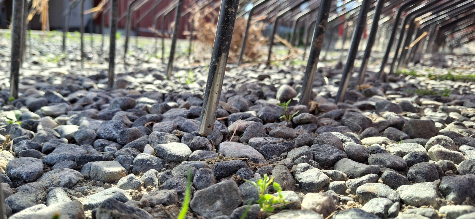 HE-VA Weeder ugressharv 9 Meter