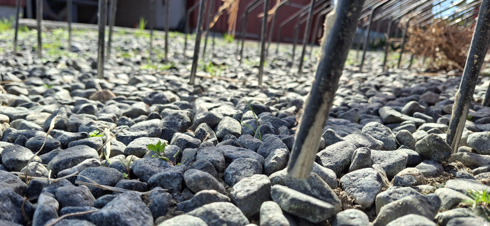 HE-VA Weeder ugressharv 9 Meter